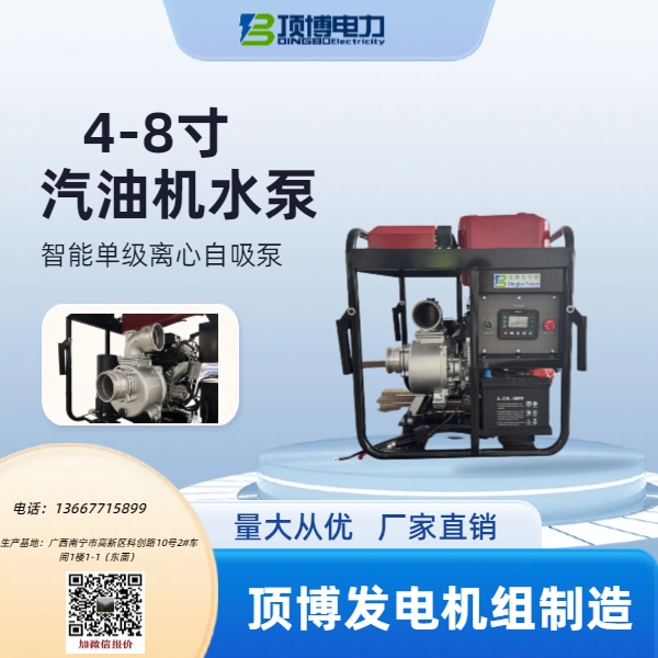 4-8寸汽油機水泵