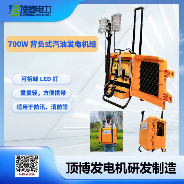 700w背負(fù)式汽油發(fā)電機(jī)組