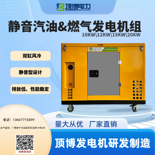 汽油天然氣發(fā)電機組